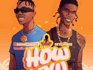 Kashcoming Ft. Seyi Vibez – How Low (Remix)