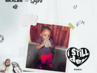 Skales Ft. Spyro – I Still Dey (Remix)