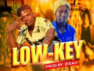 Ijoba Sunshine Ft. Sunshinezisah – Low Key