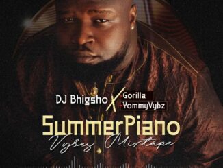 DJ Bhigsho X Gorilla X Yommyvybz – SummerPiano Vibez Mixtape