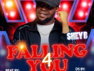 SHEY B – Falling 4 You