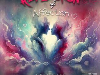 Album: Flowboy – Reflection of Affection The EP