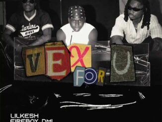 Lil Kesh Ft. Ayo Maff & Fireboy DML – Vex For U